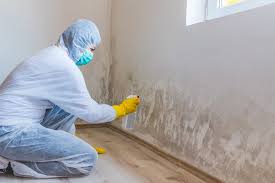 Professional Mold Remediation in Wingdale, NY